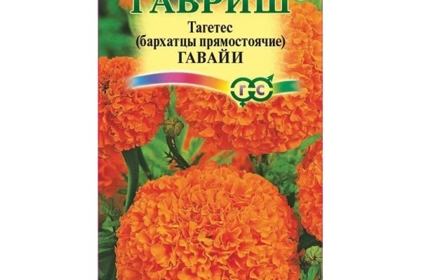 Почему не работает сайт кракен