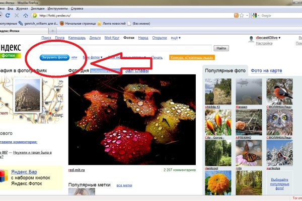 Кракен зеркало onion
