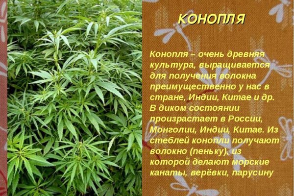 Кракен кз
