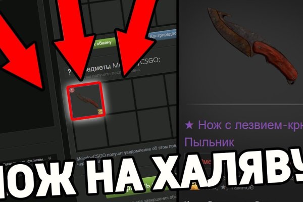 Как подключиться к даркнету