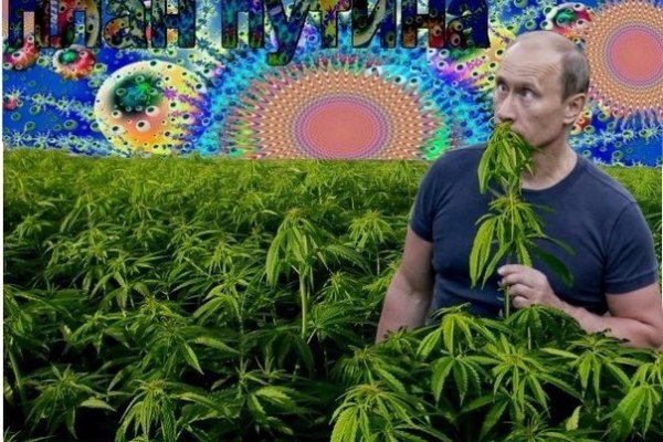Кракен тор ссылка онион