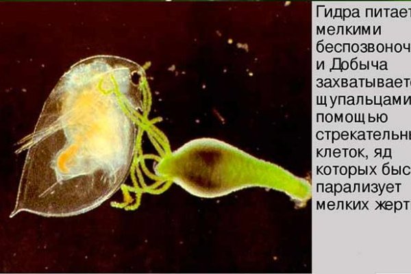 Кракен действующая ссылка