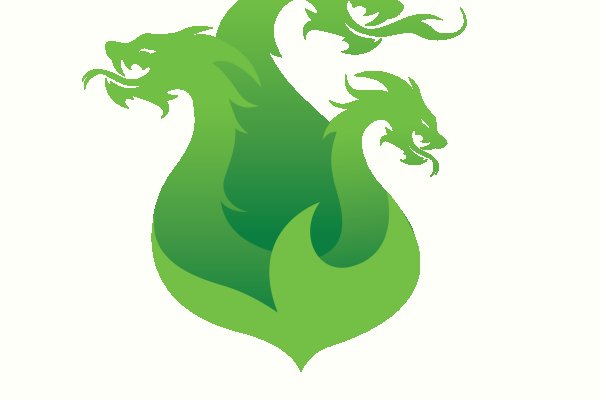 Kraken 24 top