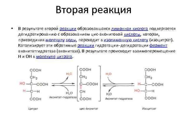 Kraken krn