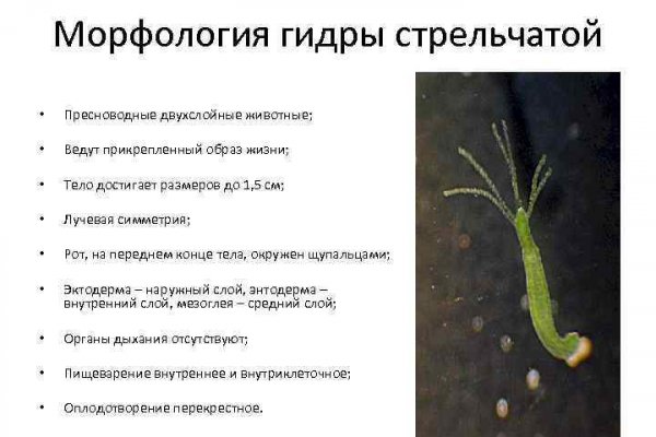 Kraken зайти на сайт
