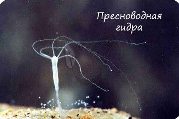 Кракен ссылка оригинал