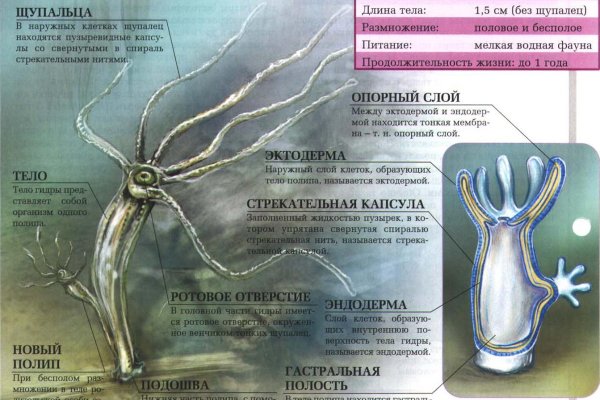 Кракен дарк ссылка