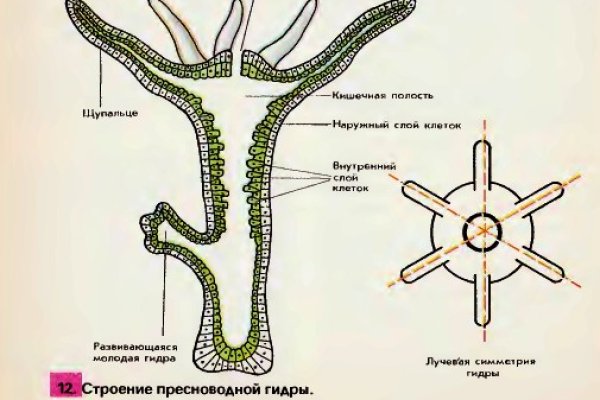 Кракен маркет даркнет скачать