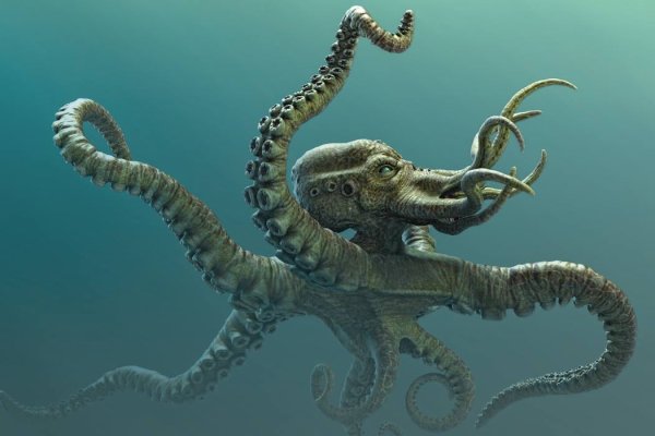 Актуальные ссылки кракен на 2025