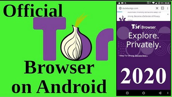 Kraken зеркала kr2web in